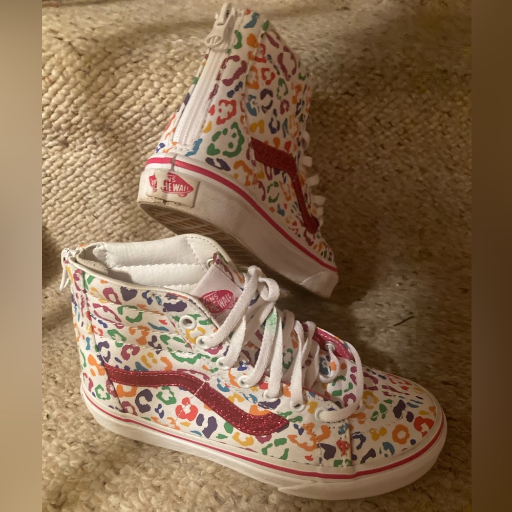 Vans Colorful High Top Skateboard Sneakers